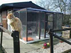 Cat Pen