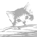 katz