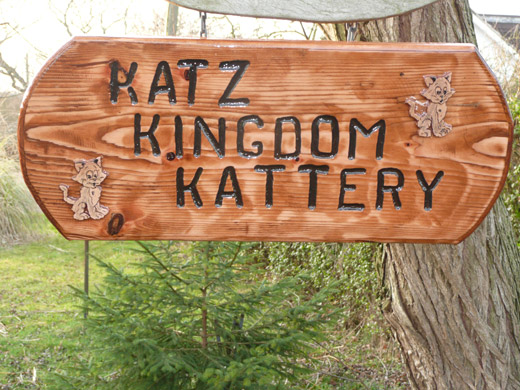 cattery